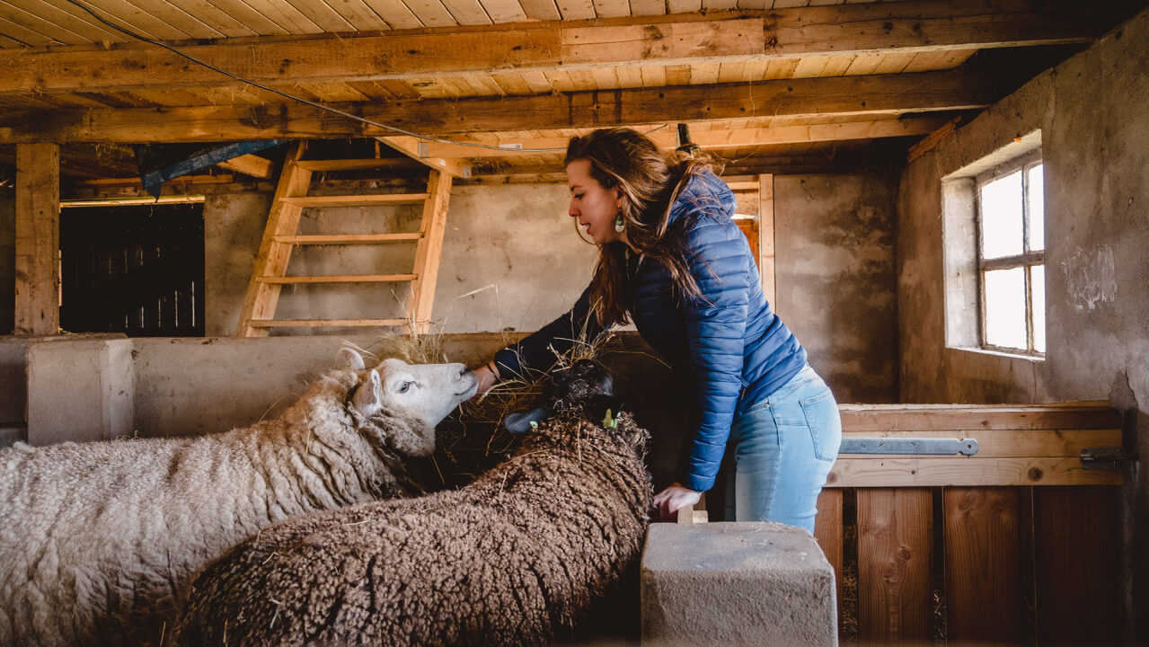 Boerderij Happinest